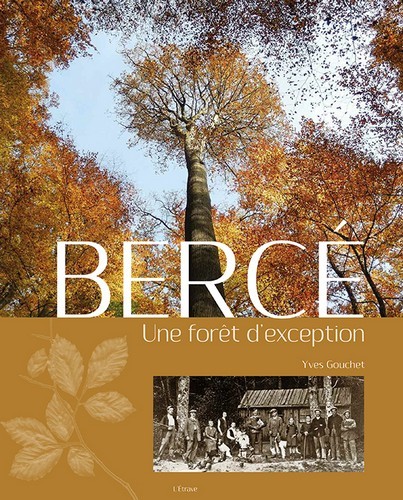 Bercé, une forêt d'exception