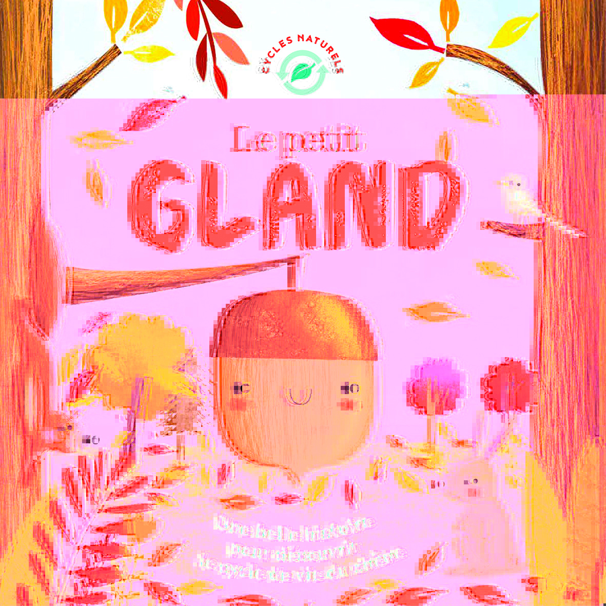 Le petit gland