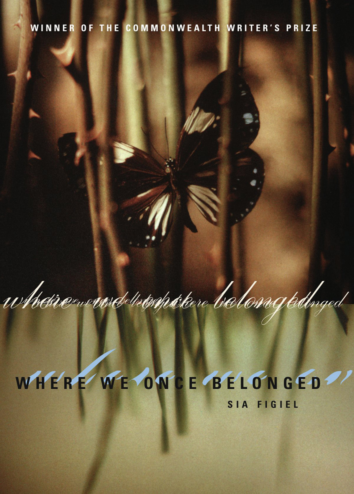 Where We Once Belonged /anglais