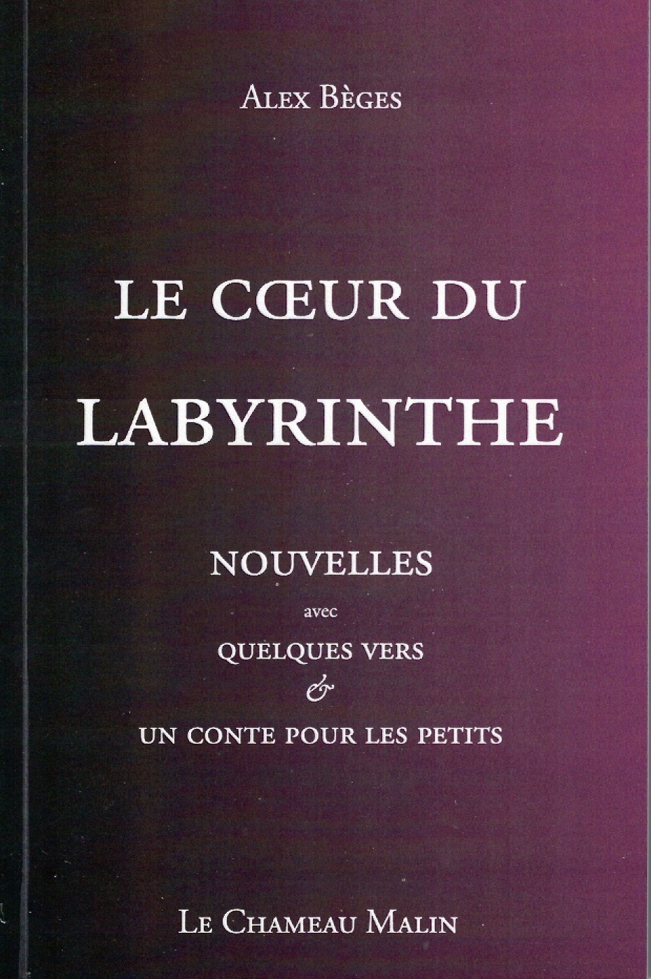 LE COEUR DU LABYRINTHE