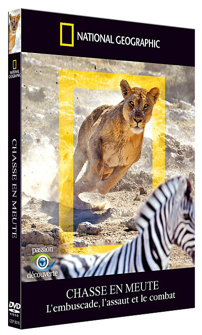 NATIONAL GEOGRAPHIC - CHASSE EN MEUTE - L'EMBUSCADE, L'ASSAUT ET LE COMBAT