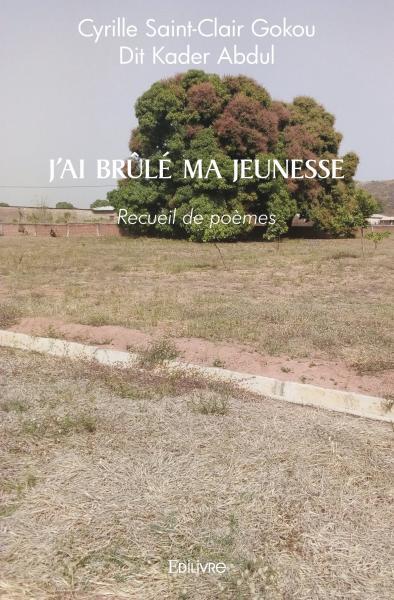J'ai brûlé ma jeunesse