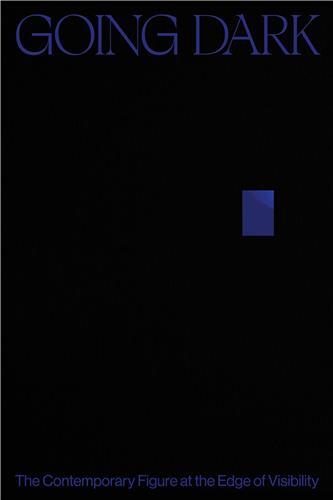 Going Dark : The Contemporary Figure at the Edge of Visibility /anglais