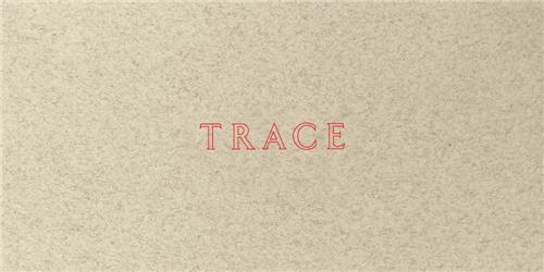 Jenny Holzer: Trace /anglais
