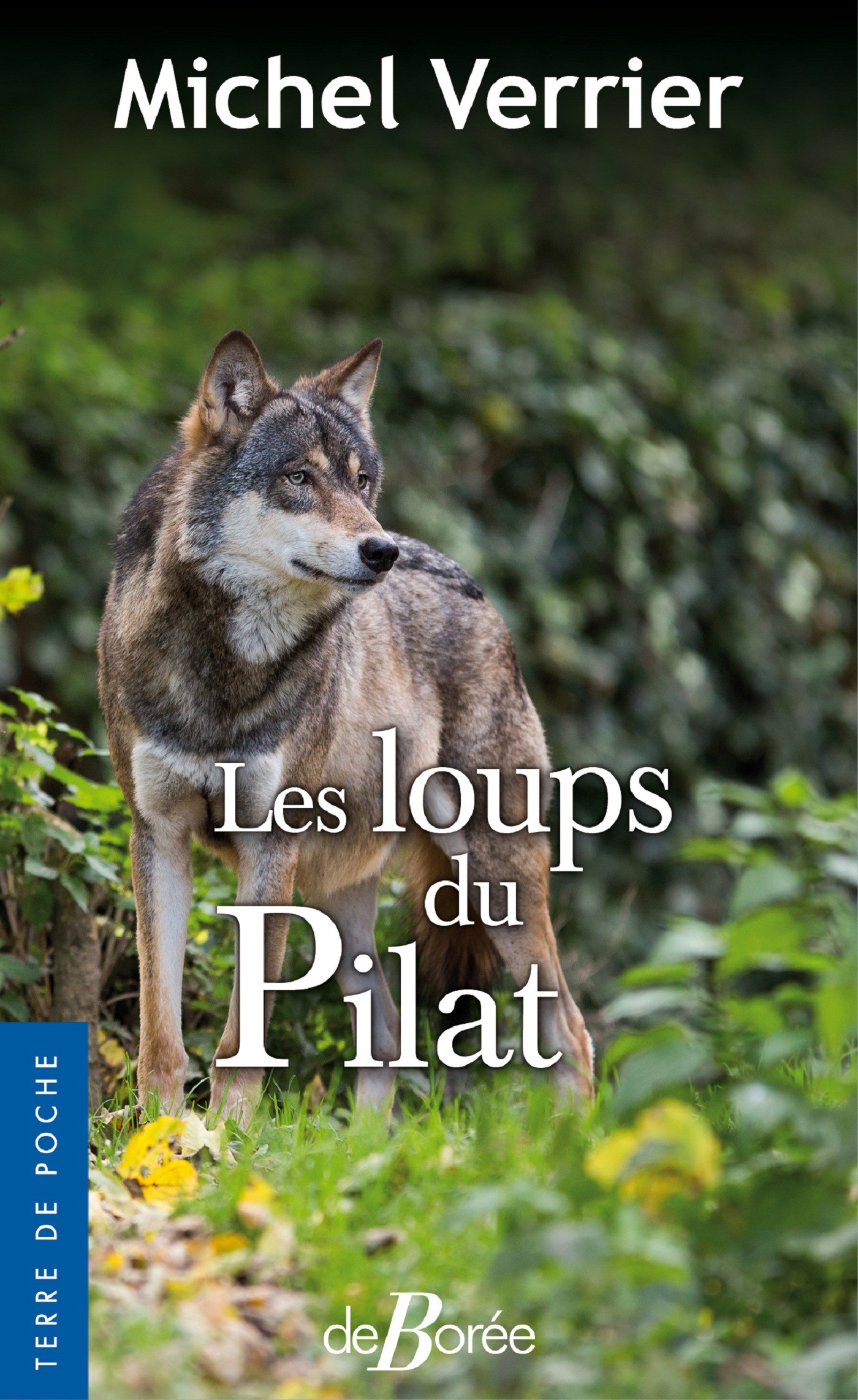 Les Loups du Pilat