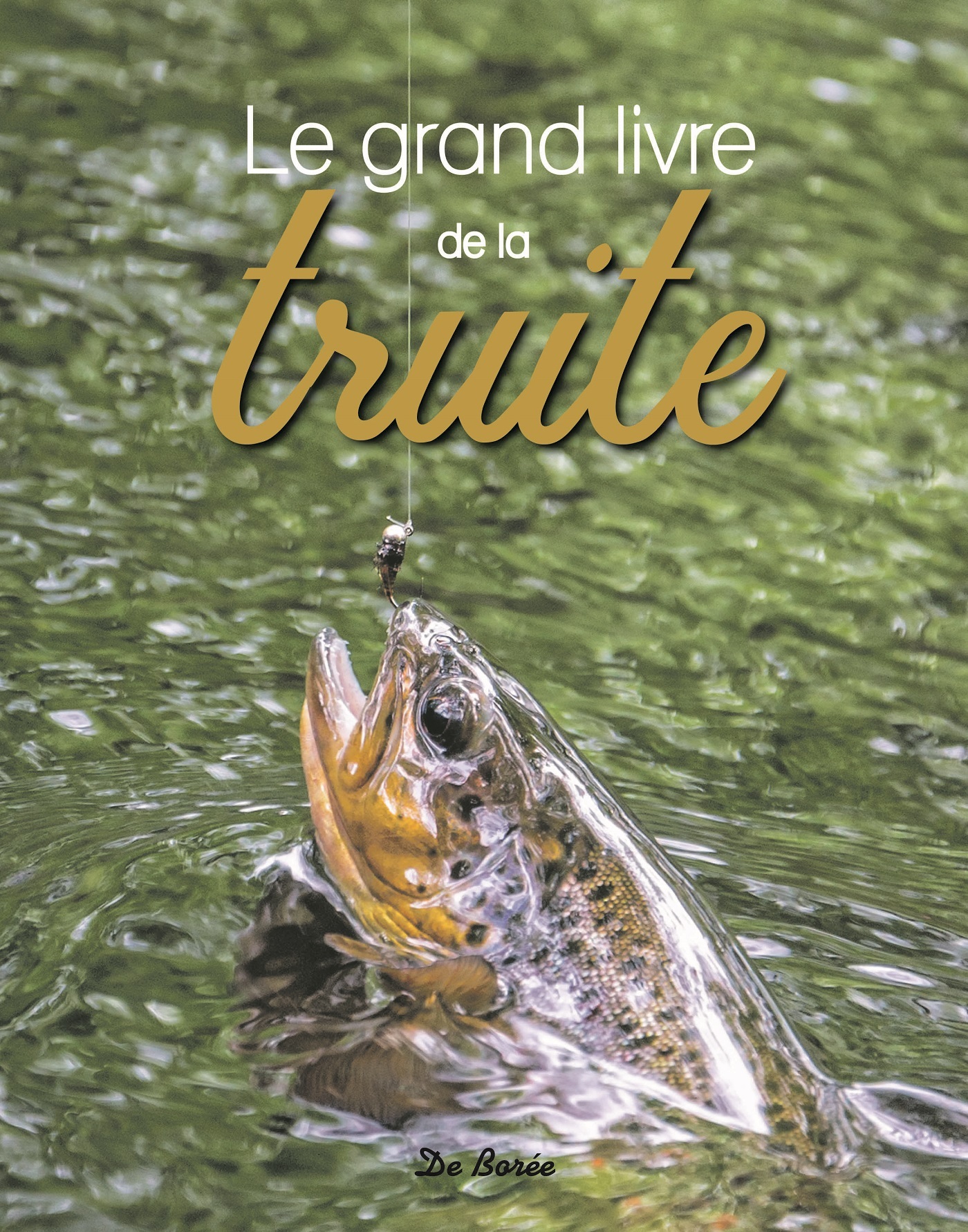 Le grand livre de la Truite