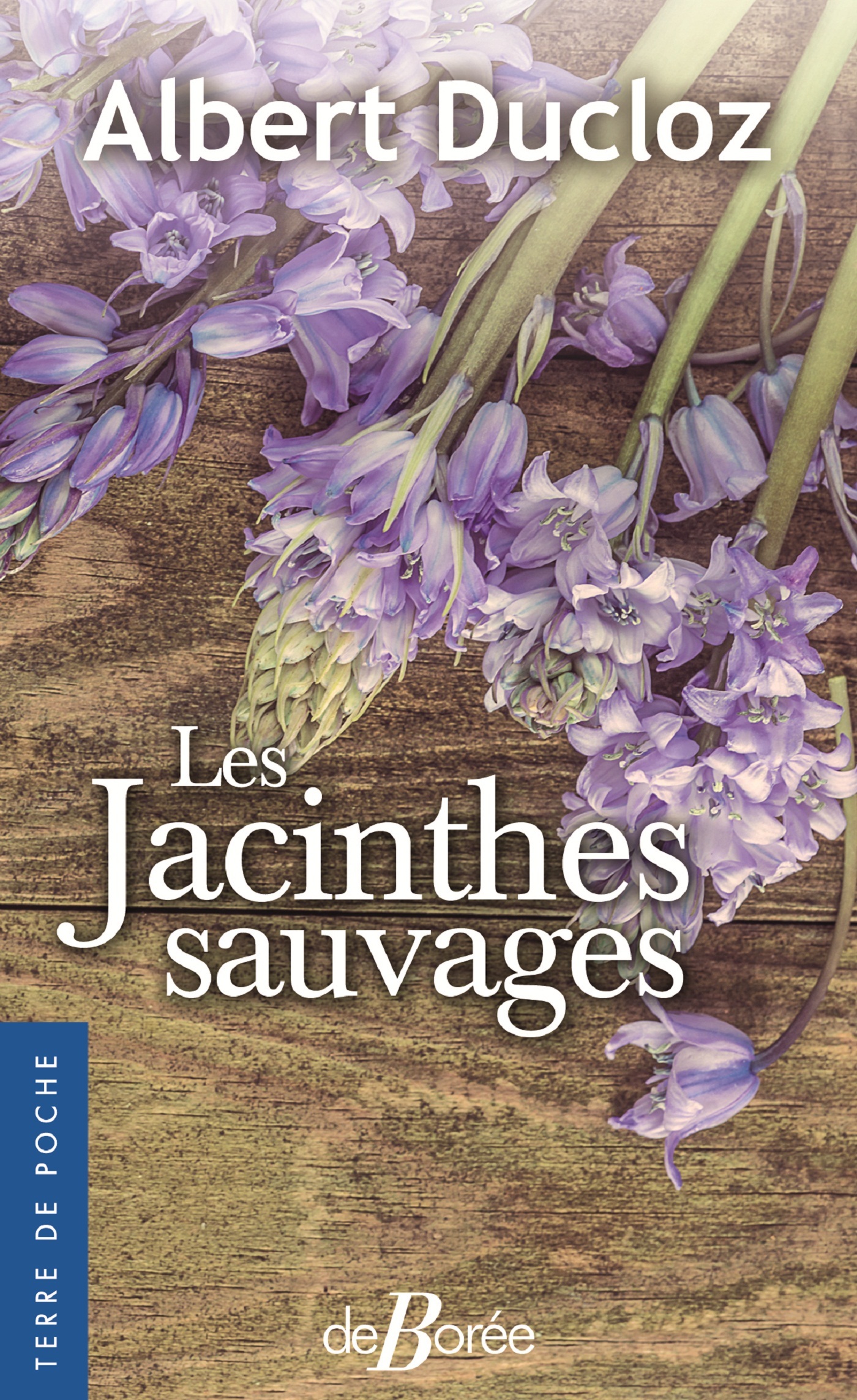 Les Jacinthes sauvages