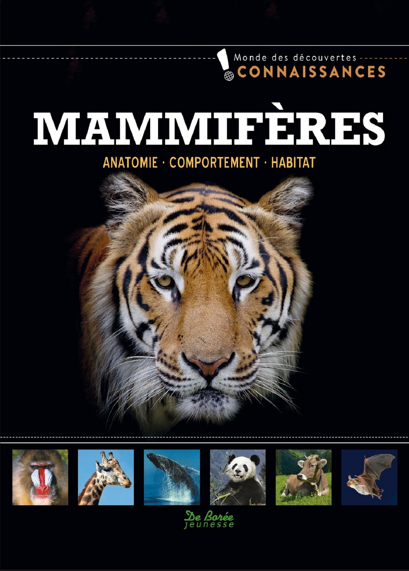Mammifères