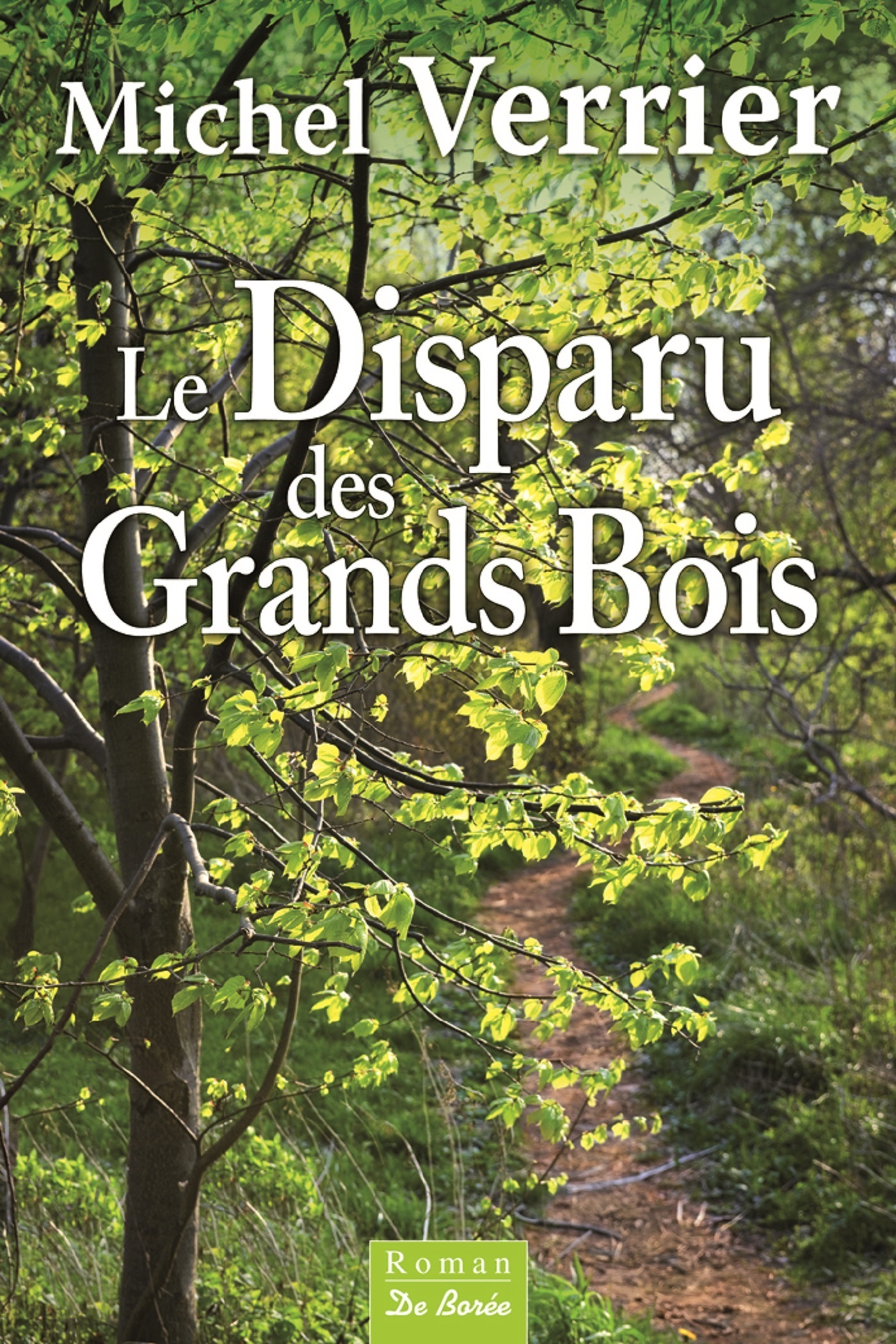 DISPARU DES GRANDS BOIS (LE)