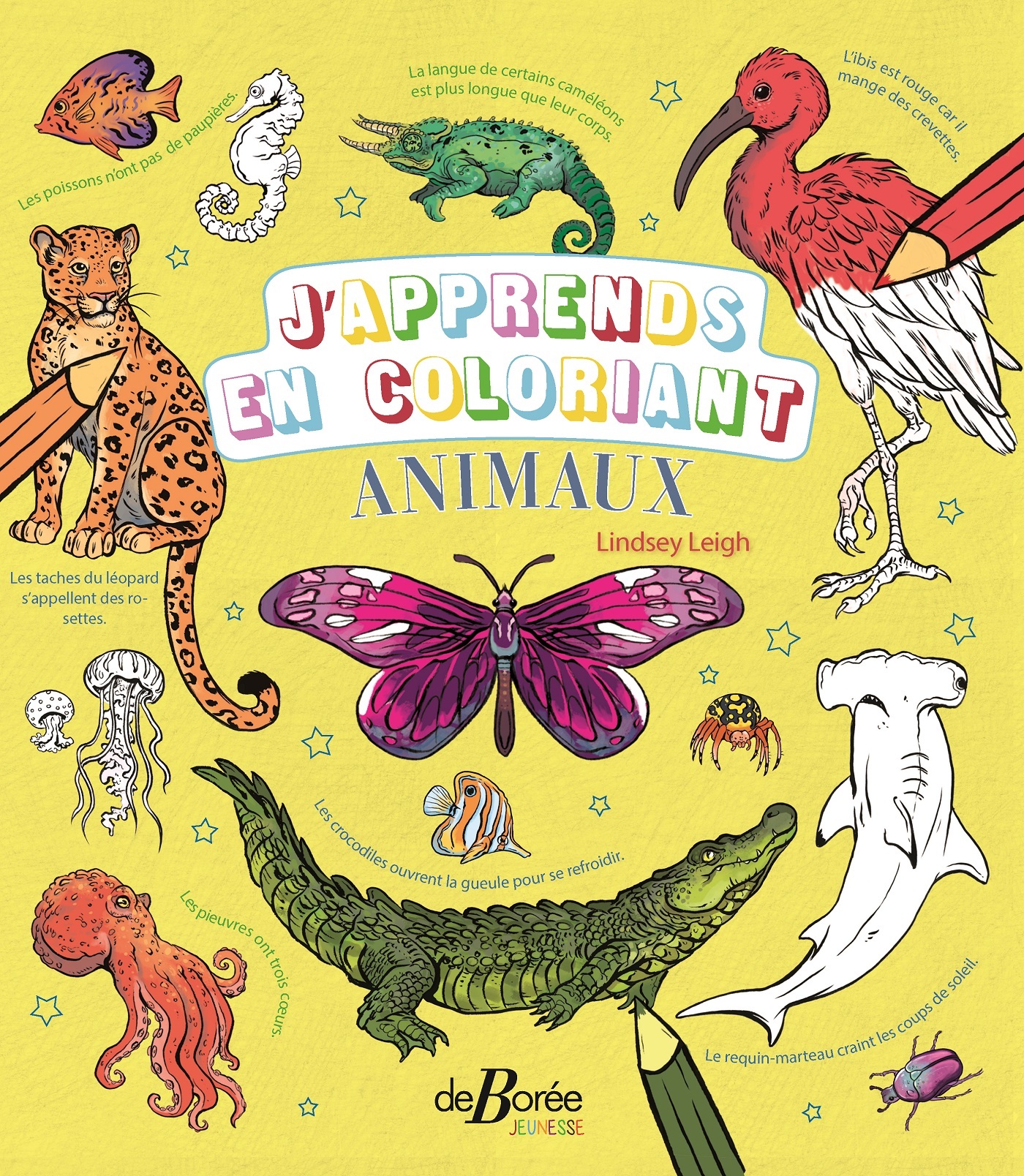 J'apprends en coloriant