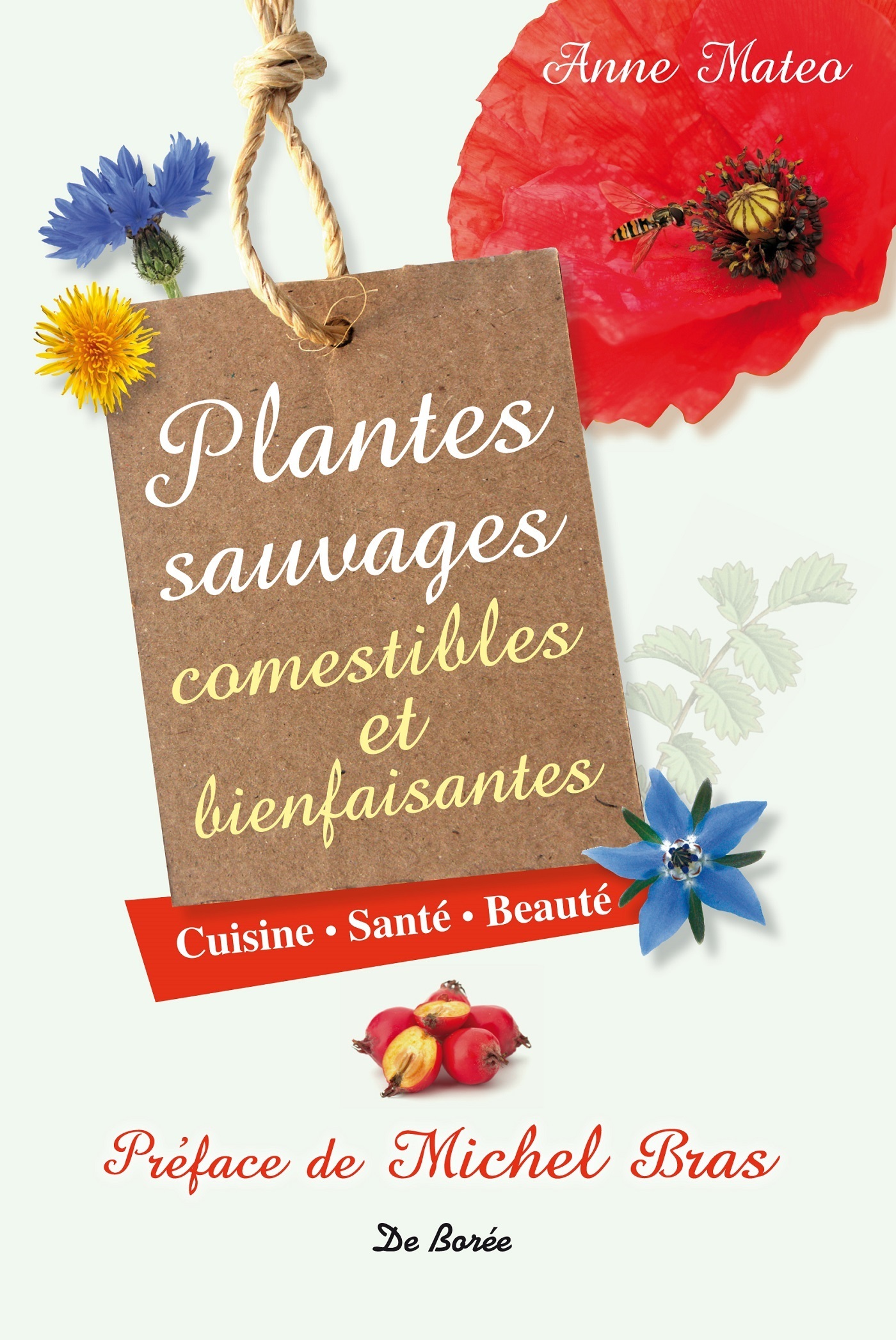 PLANTES SAUVAGES ET BIENFAISANTES