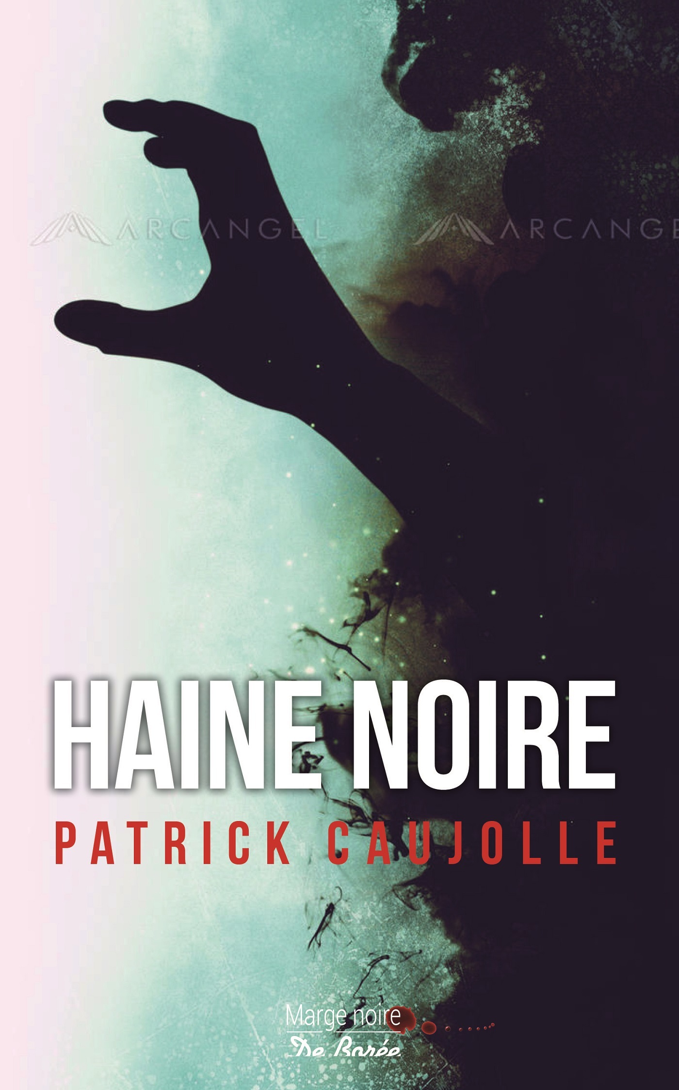 Haine Noire
