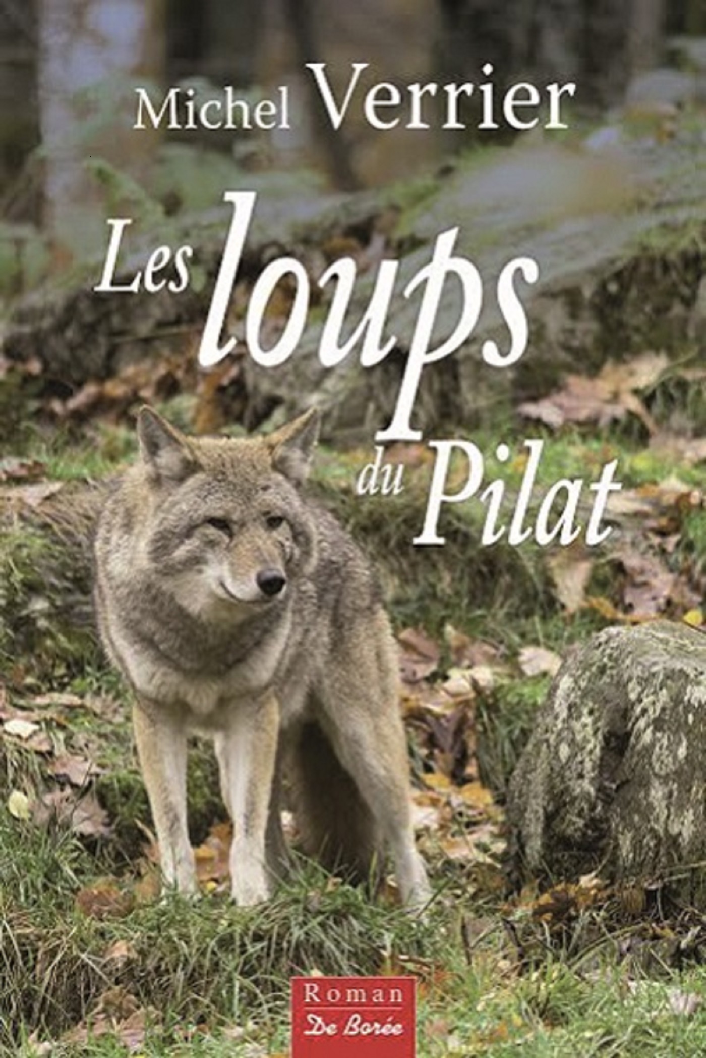LOUPS DU PILAT (LES)