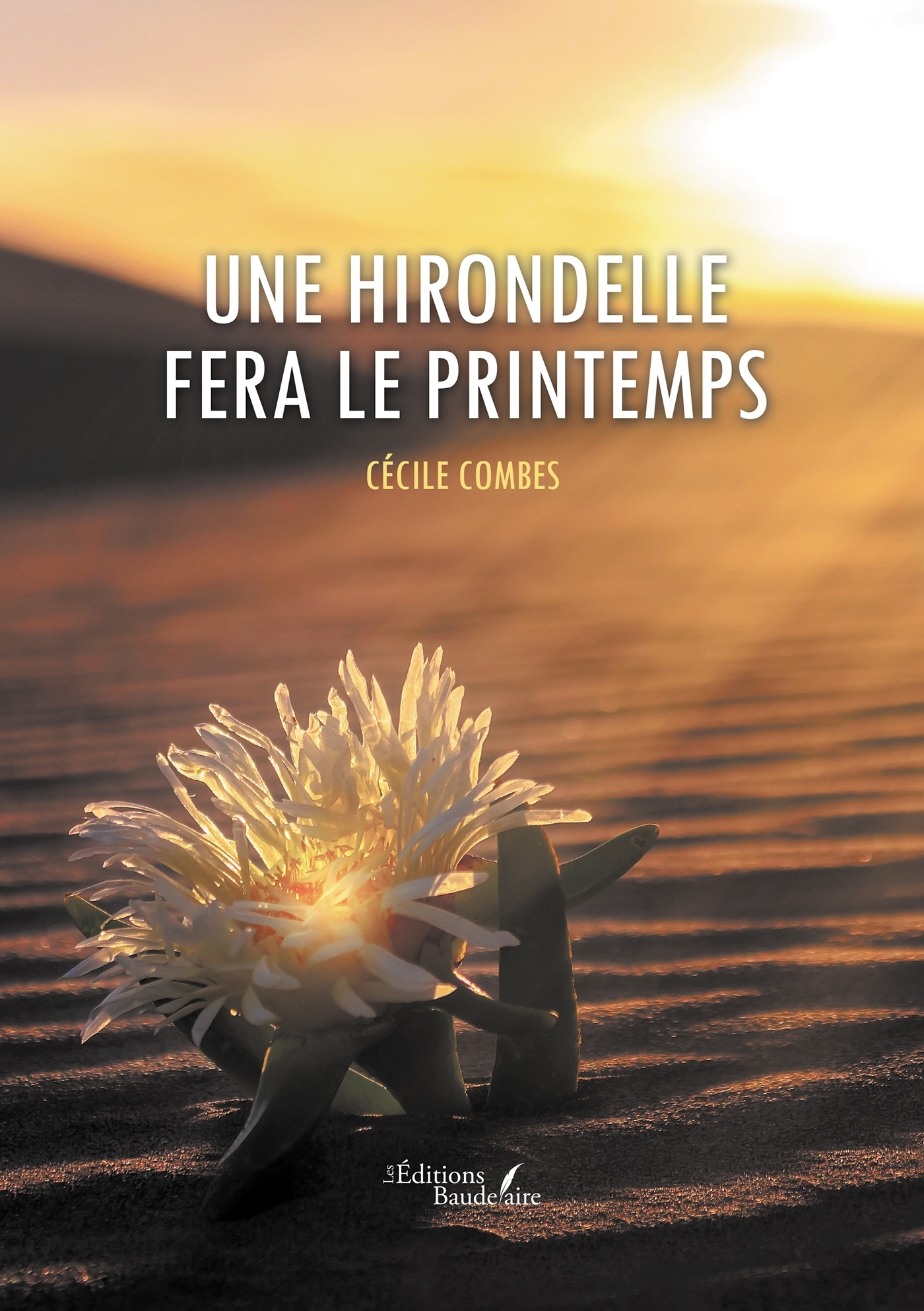 Une hirondelle fera le printemps