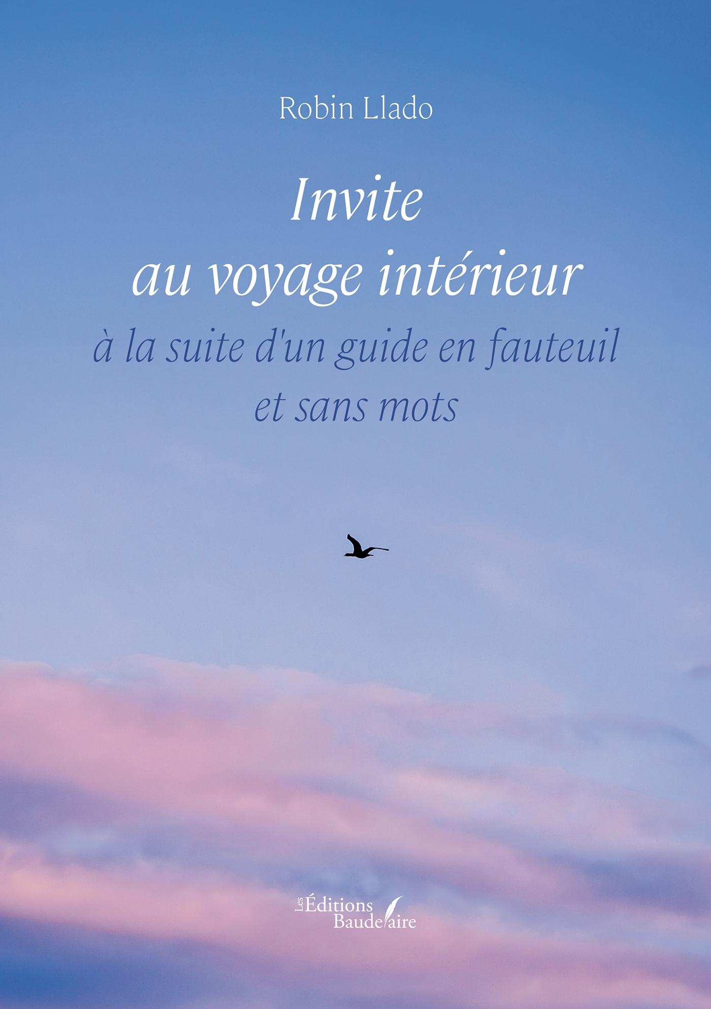 Invite au voyage intérieur à la suite d'un guide en fauteuil et sans mots