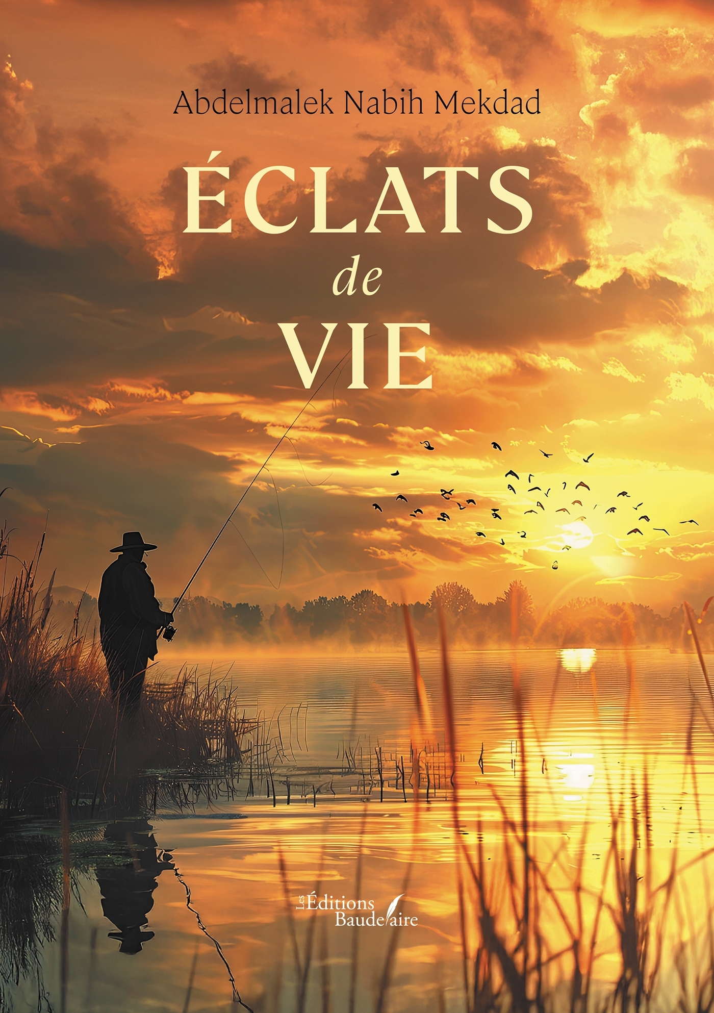 Éclats de vie