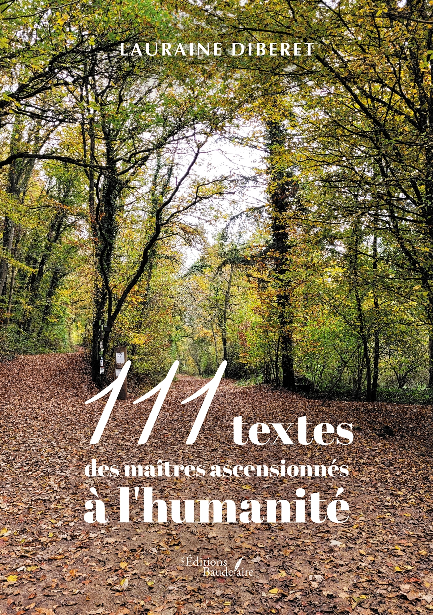 111 textes des maîtres ascensionnés à l'humanité