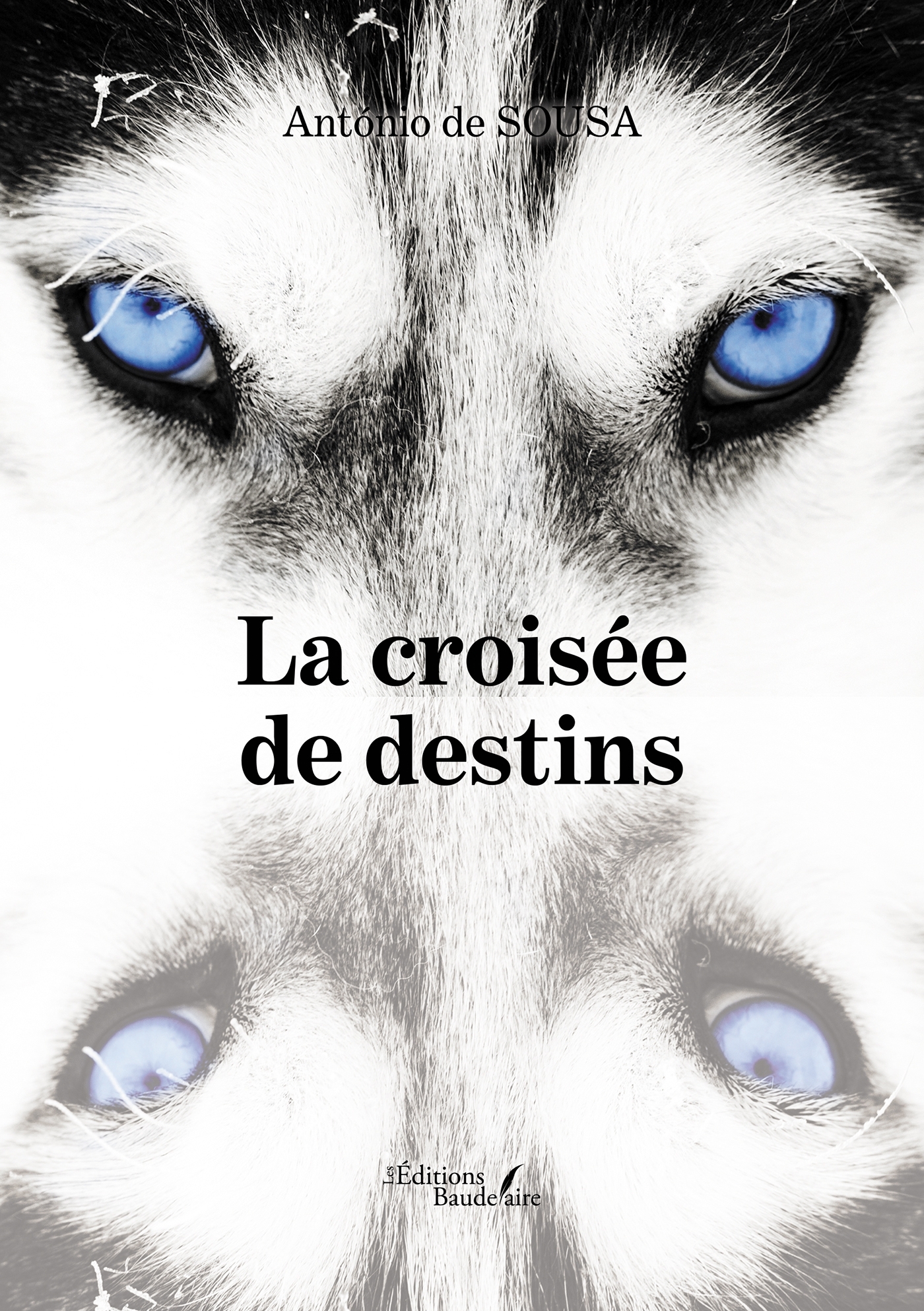 La croisée de destins