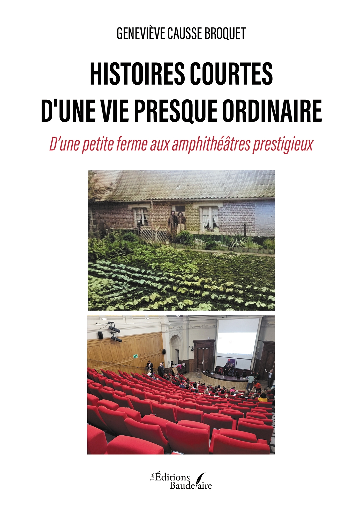 Histoires courtes d'une vie presque ordinaire