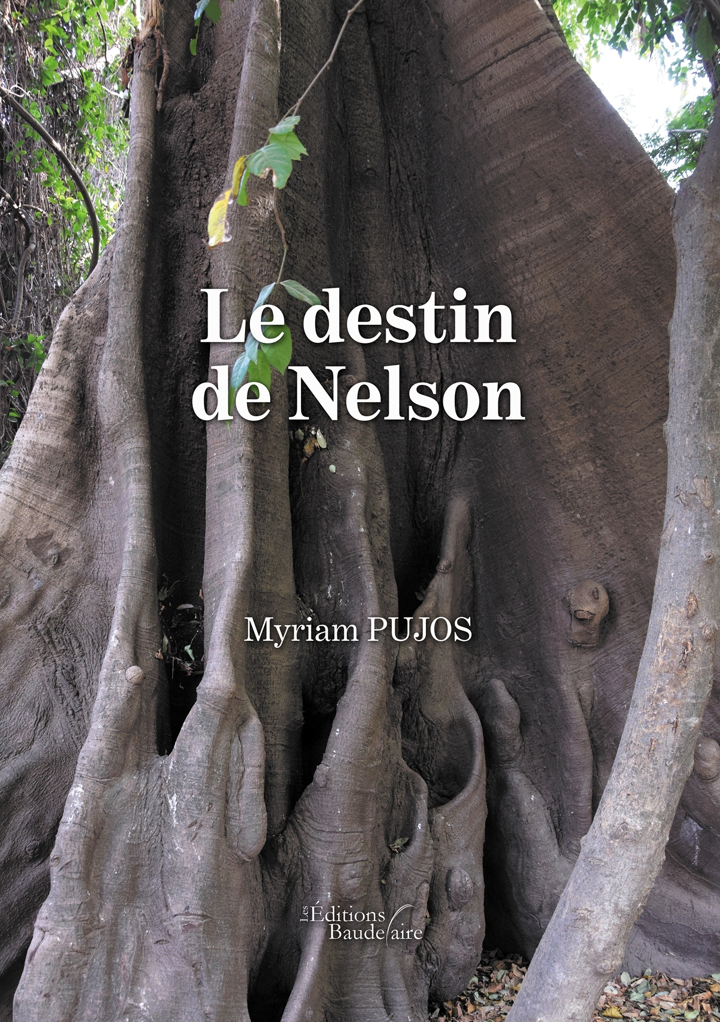 Le destin de Nelson