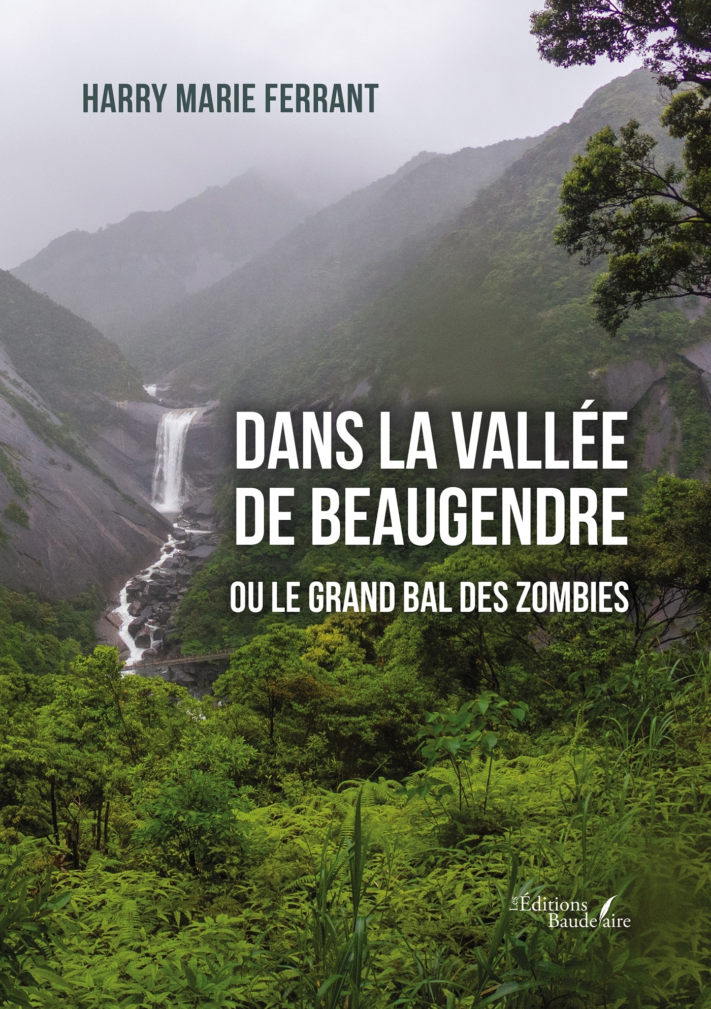 Dans la vallée de Beaugendre ou le grand bal des zombies