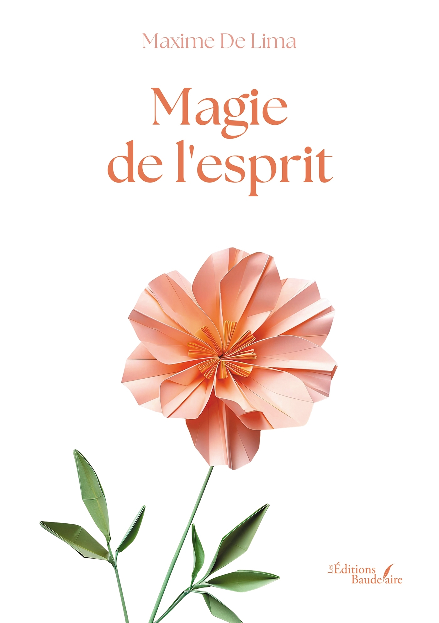 Magie de l'esprit