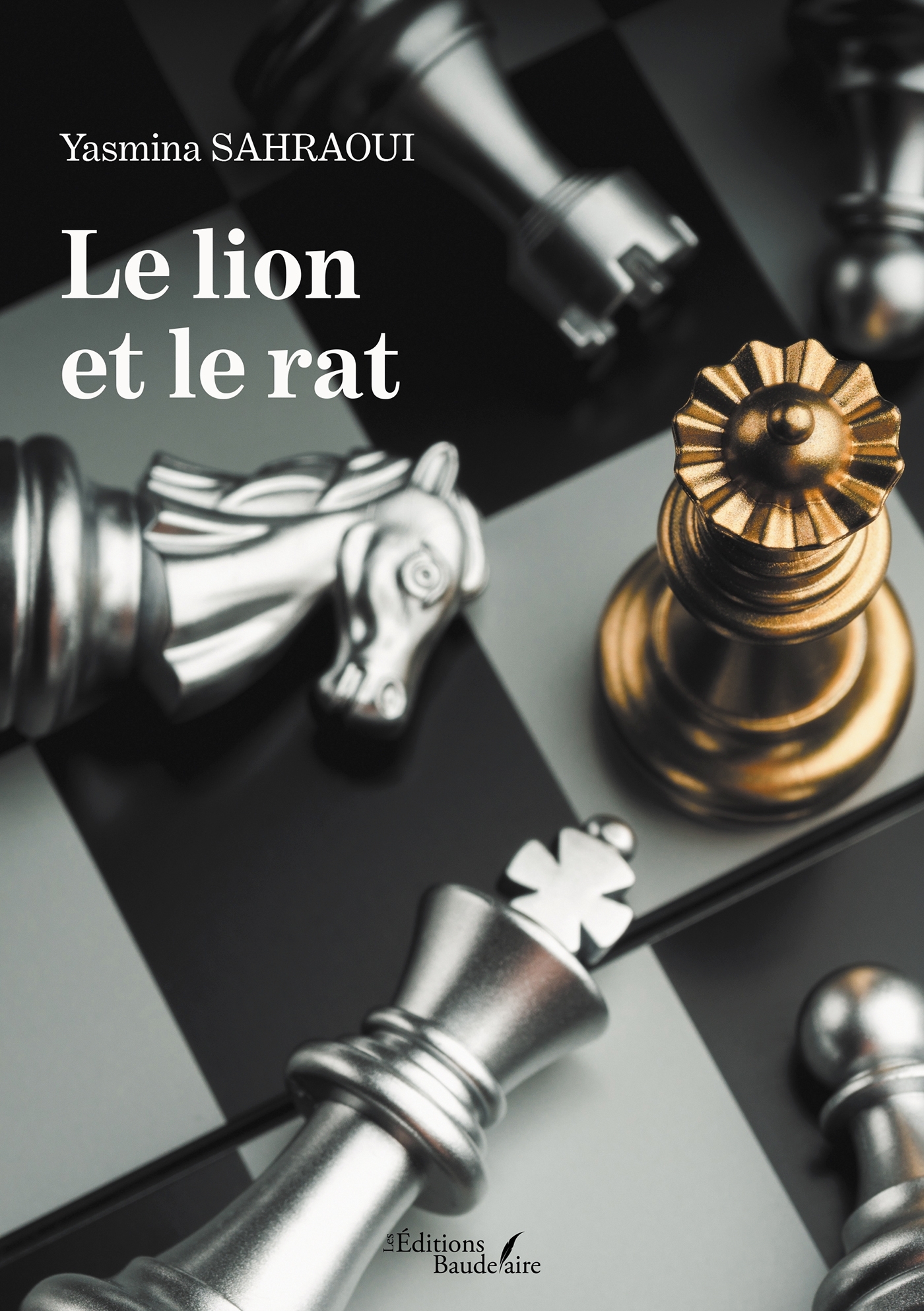 Le lion et le rat