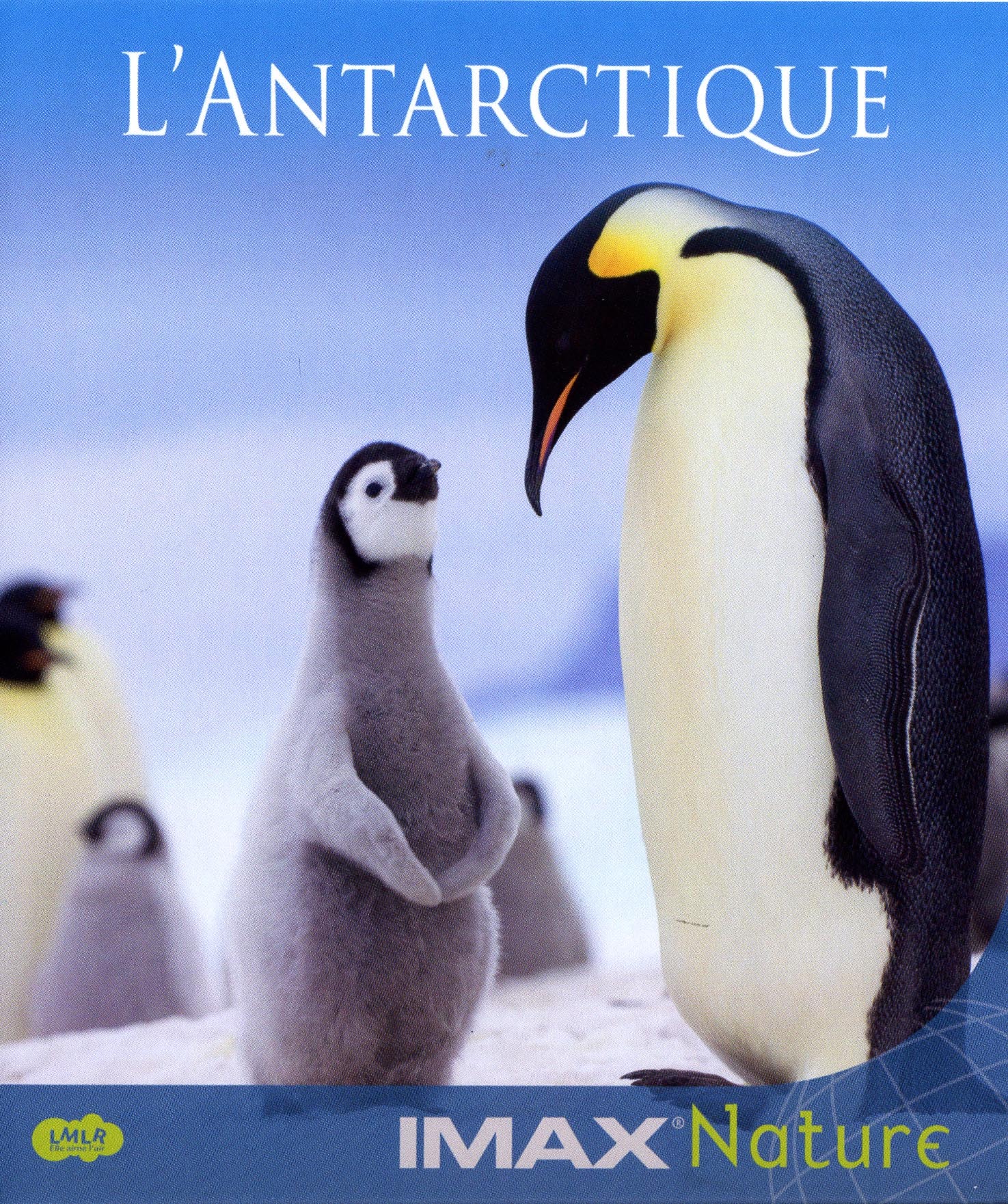 ANTARCTIQUE (L) - BLU RAY