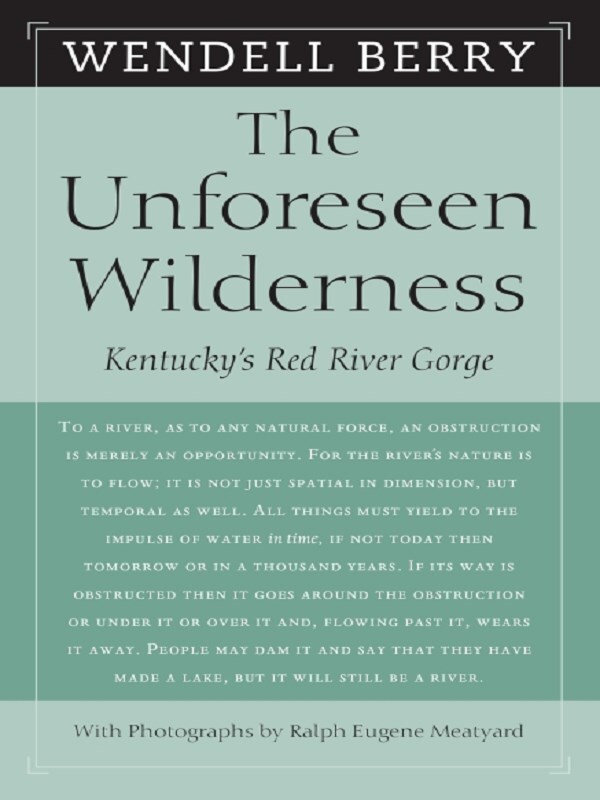 The Unforeseen Wilderness