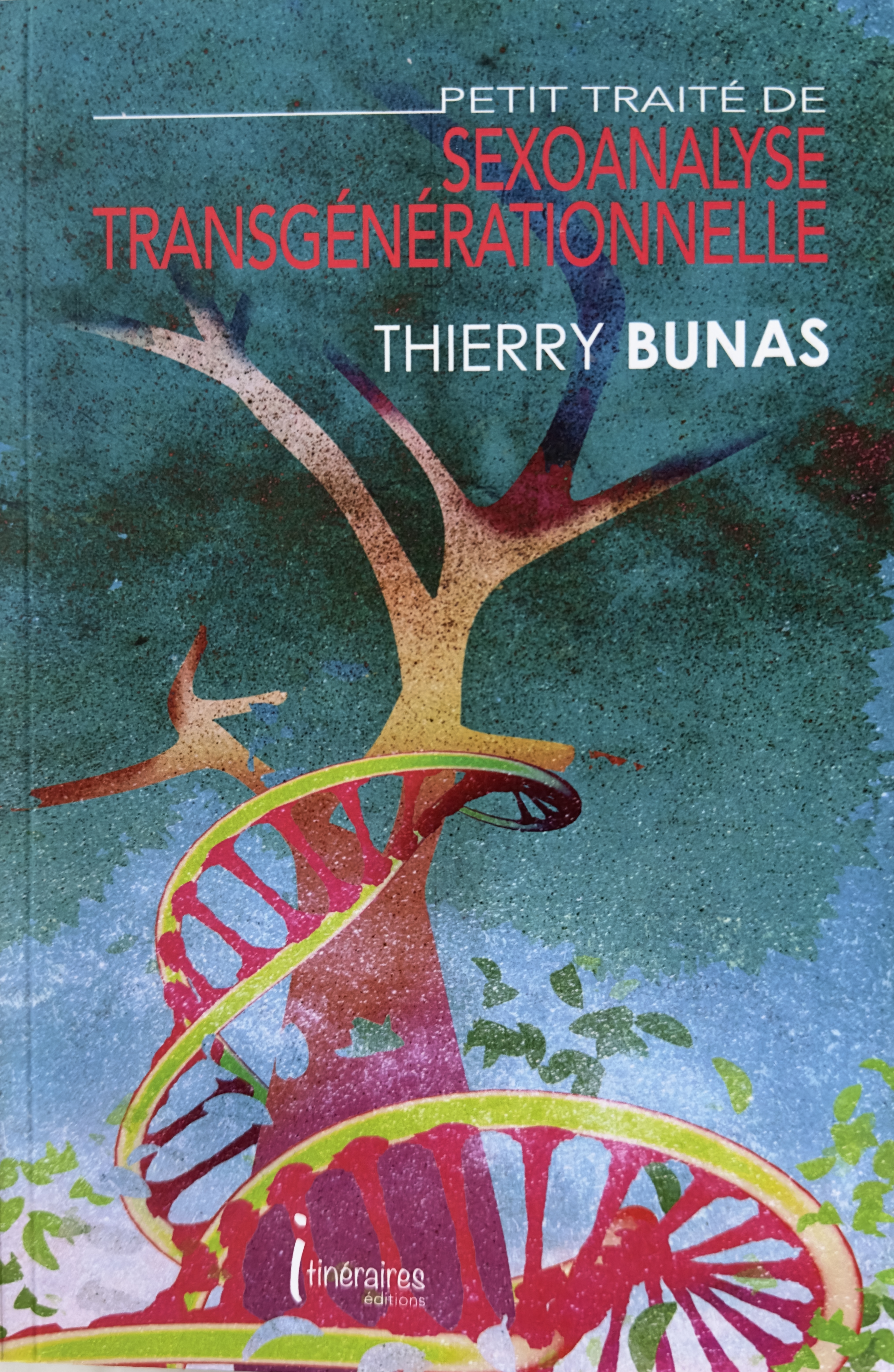 Petit traité de sexoanalyse transgénérationnelle