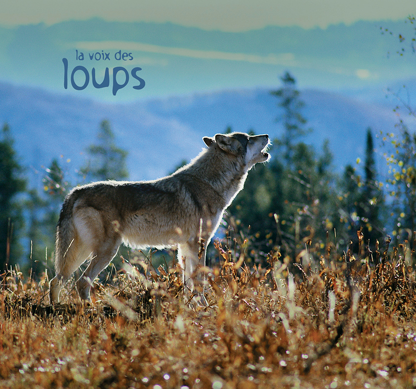 La voix des loups (1 CD)
