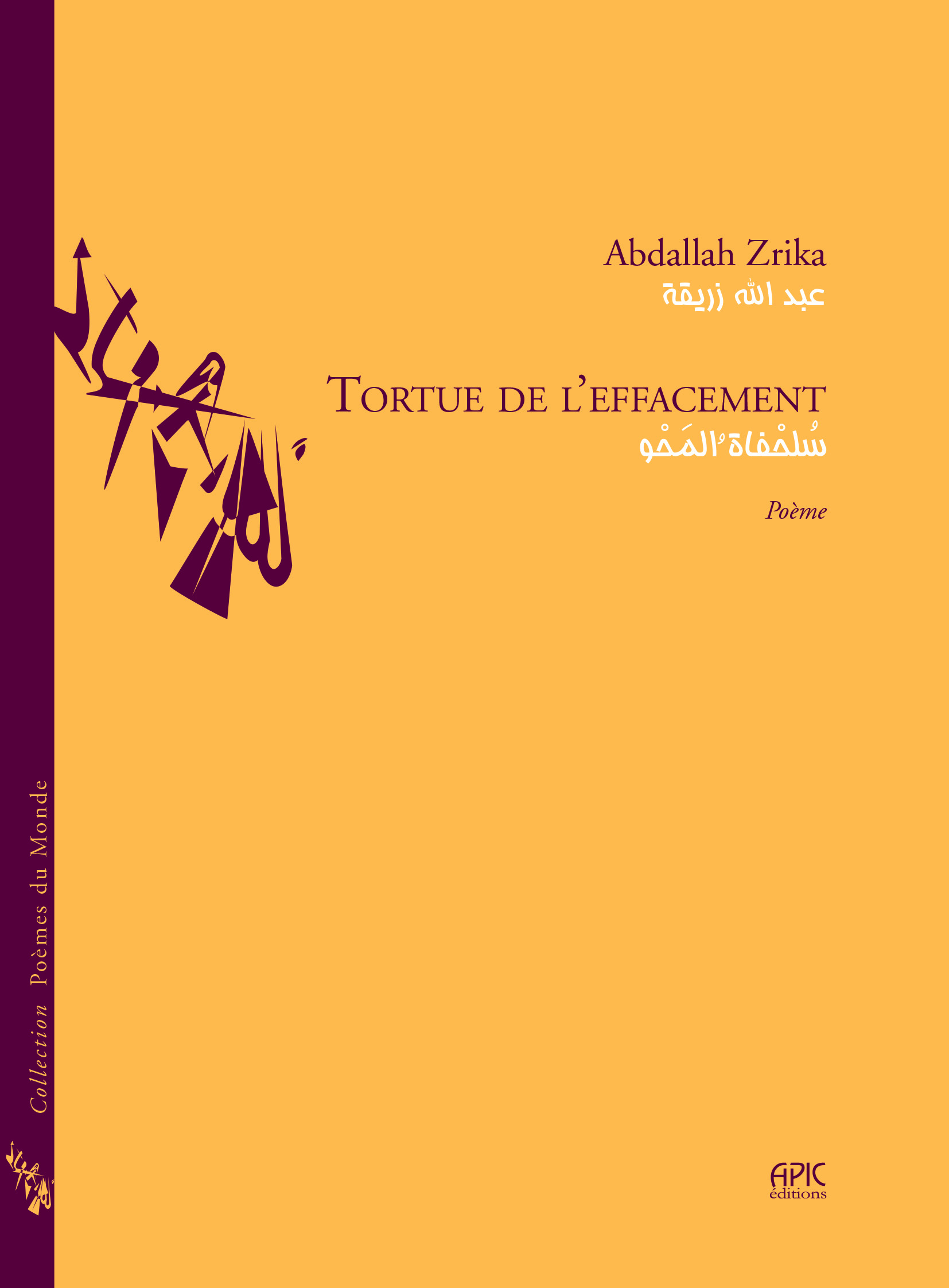 Tortue de l'effacement