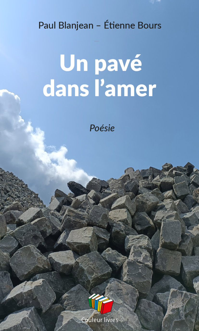 UN PAVE DANS L'AMER