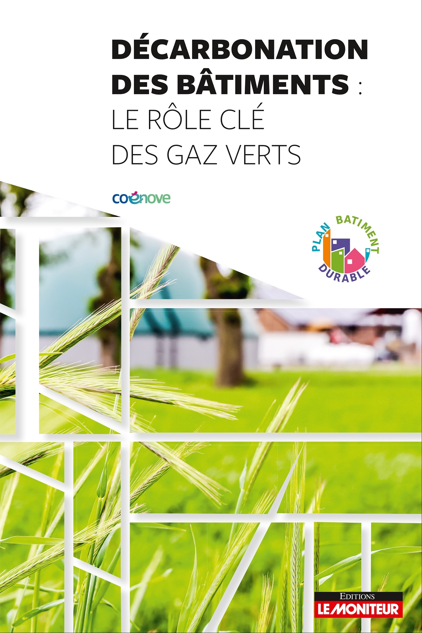 Décarbonation des bâtiments : le rôle des gaz verts