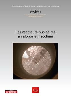 Réacteur rapide à caloporteur à sodium
