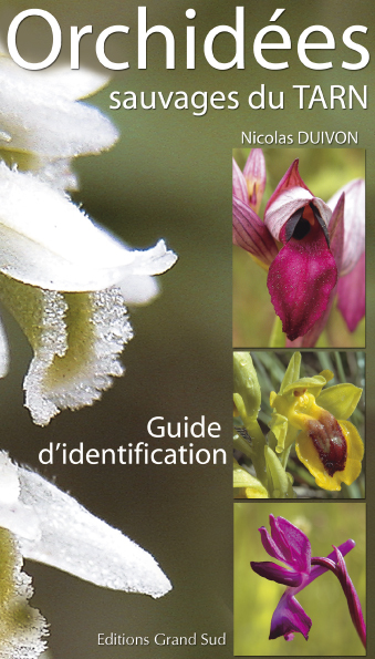 ORCHIDÉES sauvages du TARN