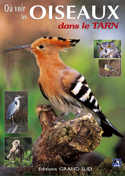 Où voir les OISEAUX dans le Tarn