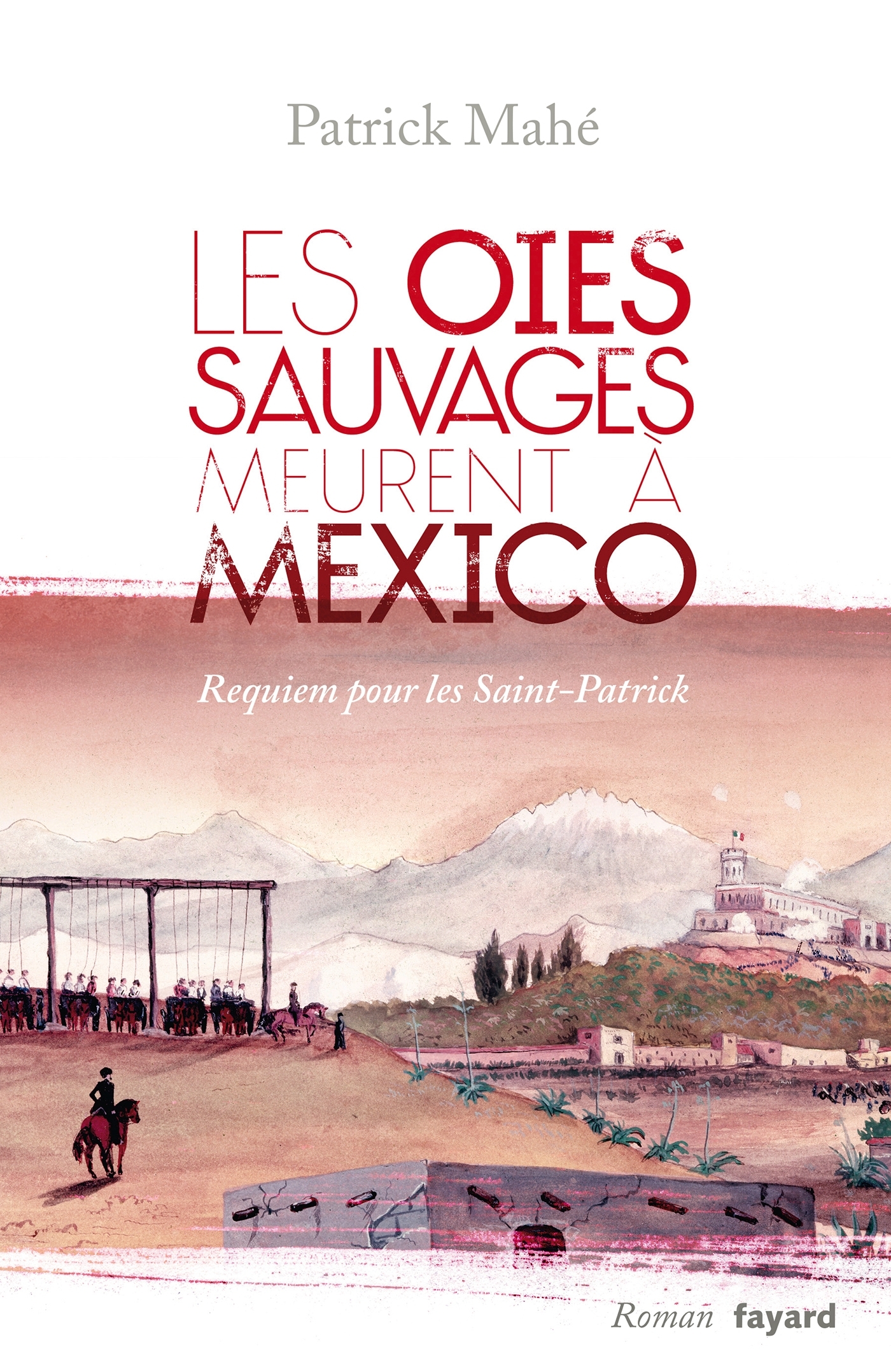 Les oies sauvages meurent à Mexico