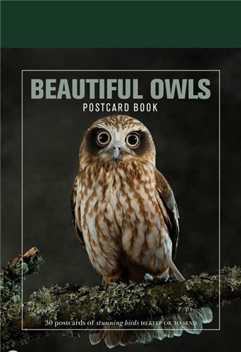 Beautiful Owls Postcard Book /anglais