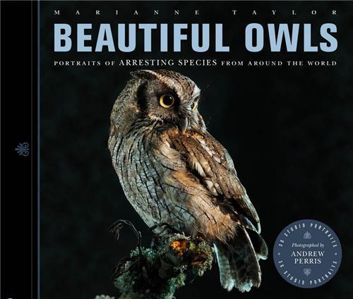 Beautiful Owls /anglais