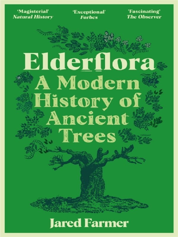 Elderflora