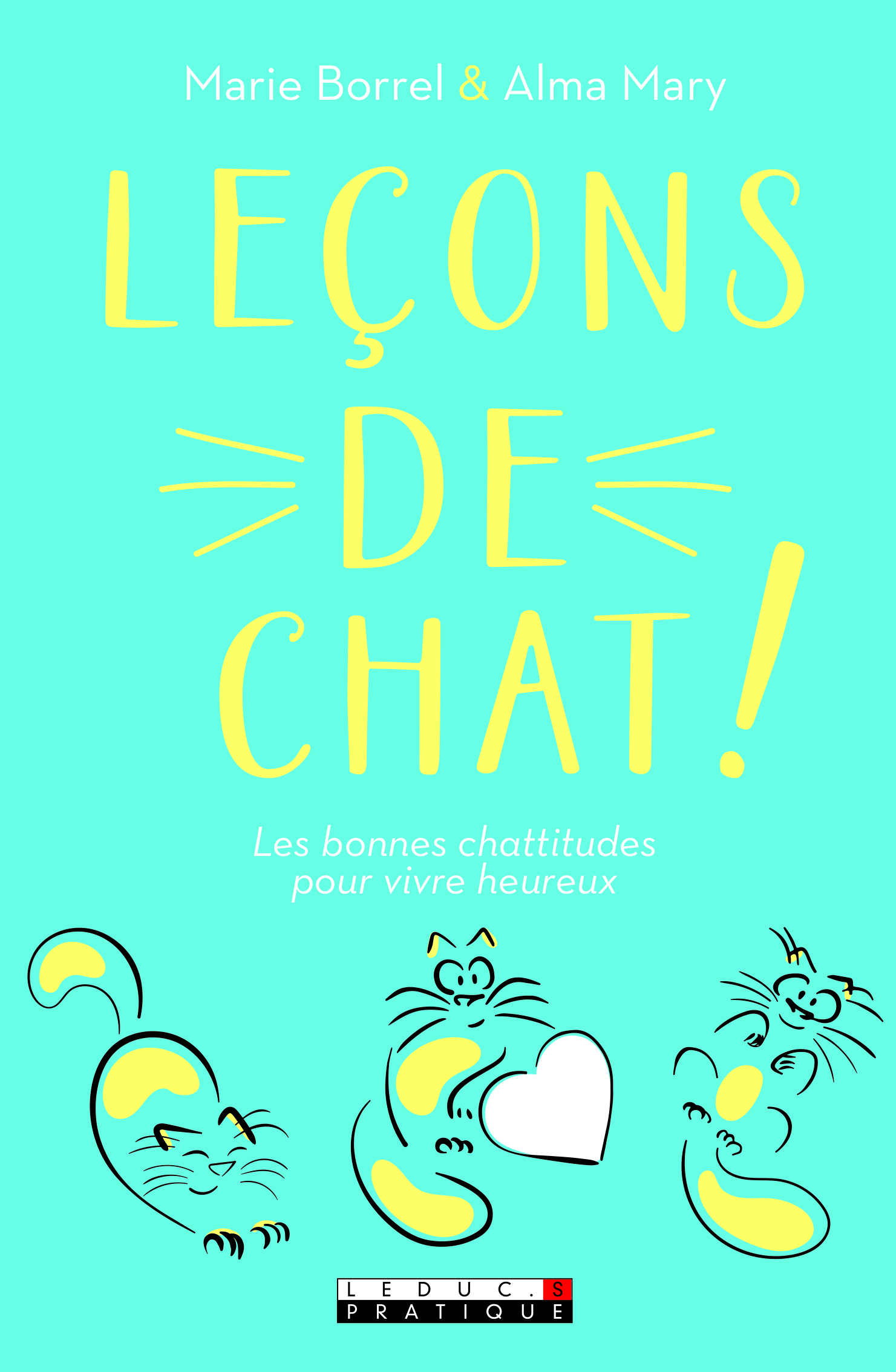 Leçons de chat
