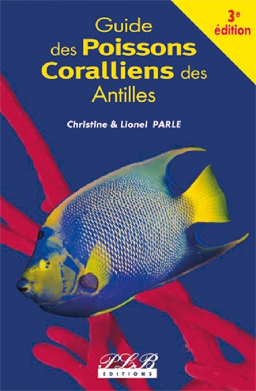 Guide des poissons coralliens des Antilles