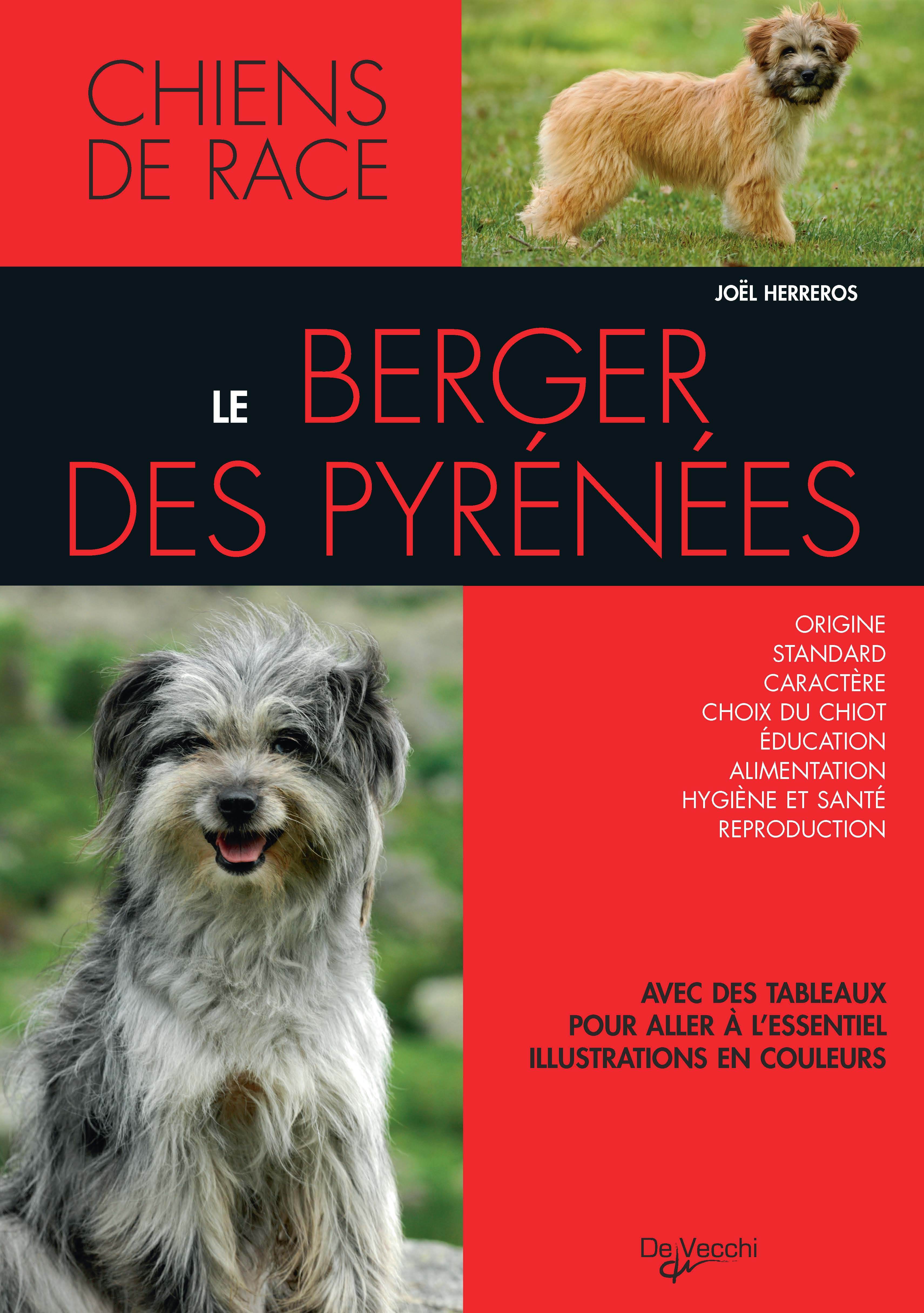 BERGER DES PYRENNEES