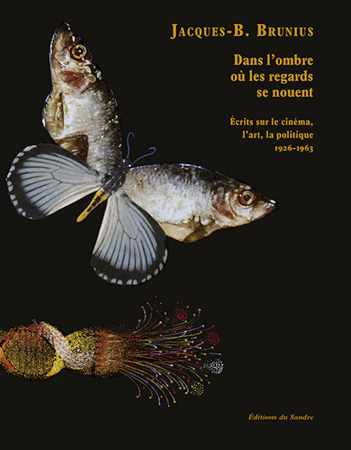 DANS L'OMBRE OU LES REGARDS SE NOUENT