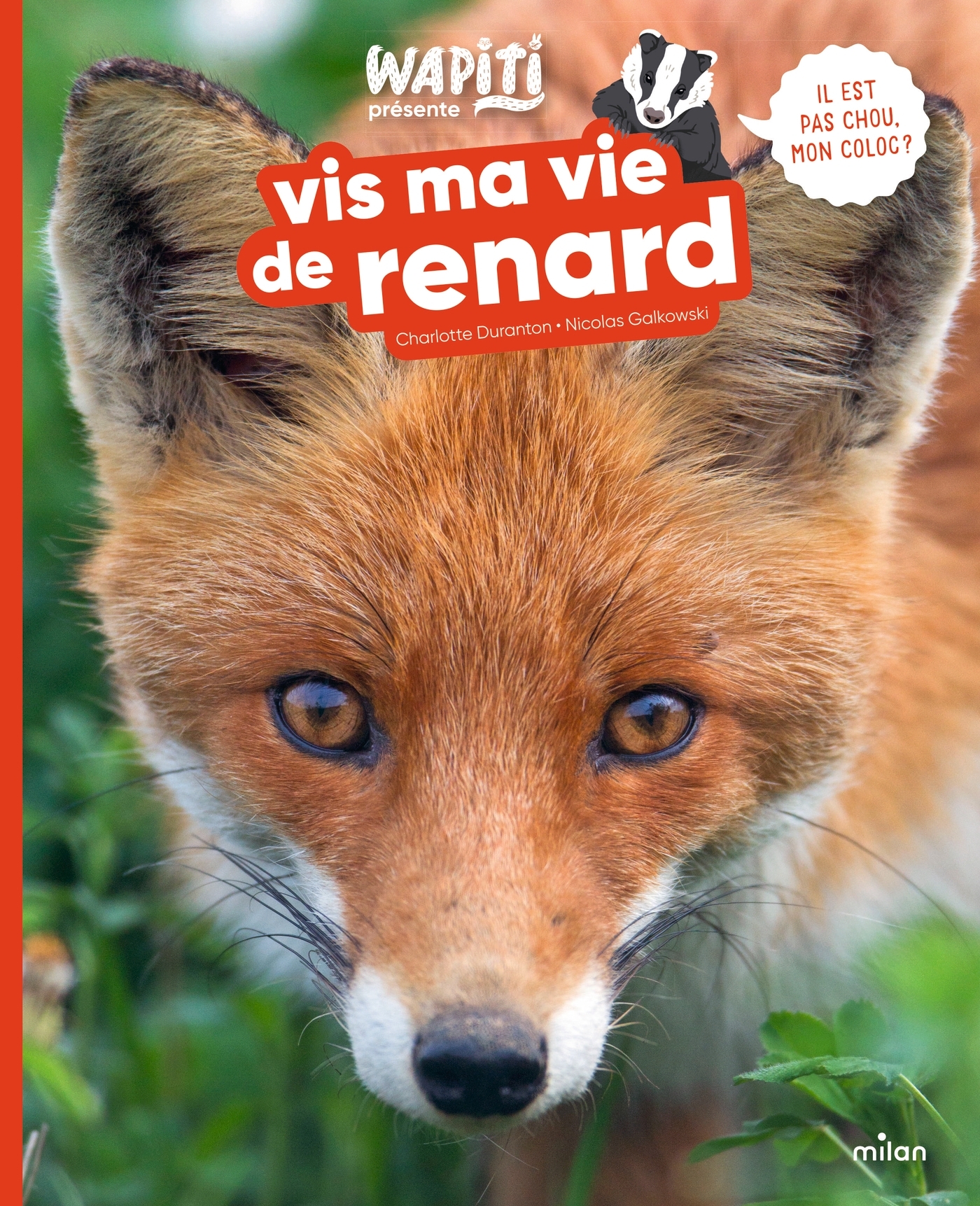 Vis ma vie de renard