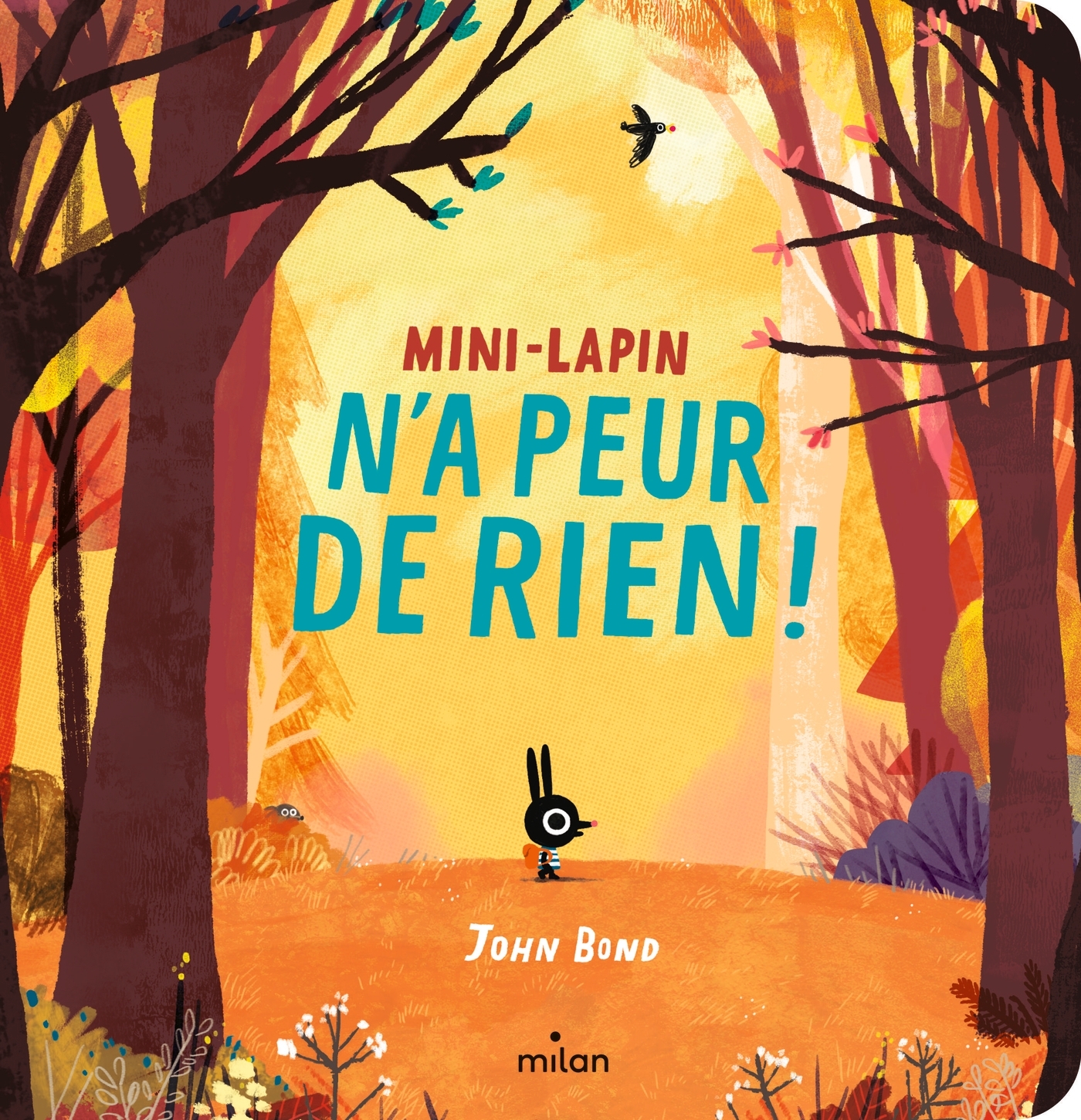 Mini-Lapin n'a peur de rien (tout-carton)