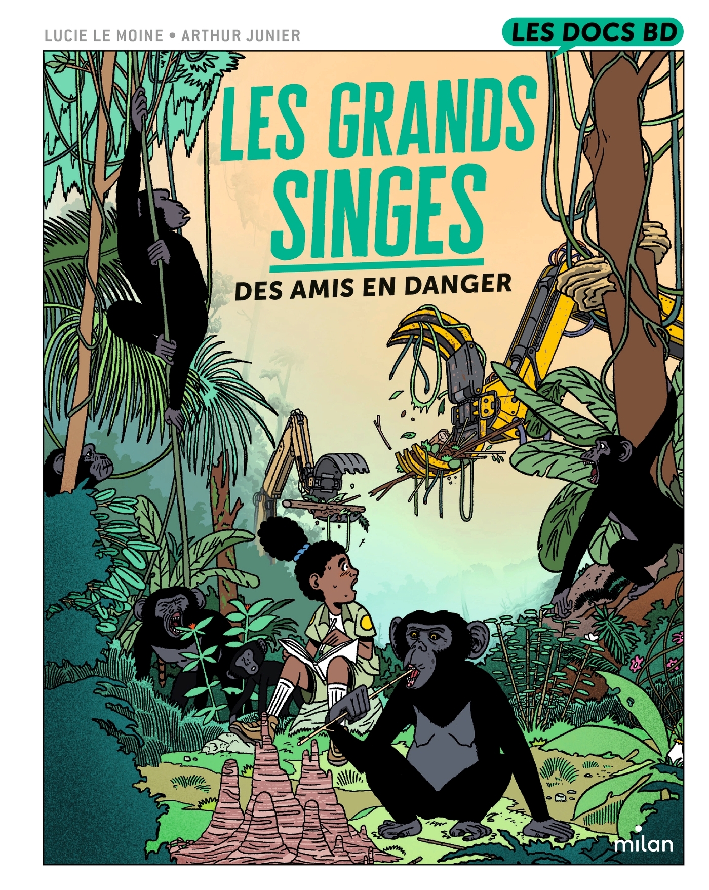 Les grands singes - Des amis en danger