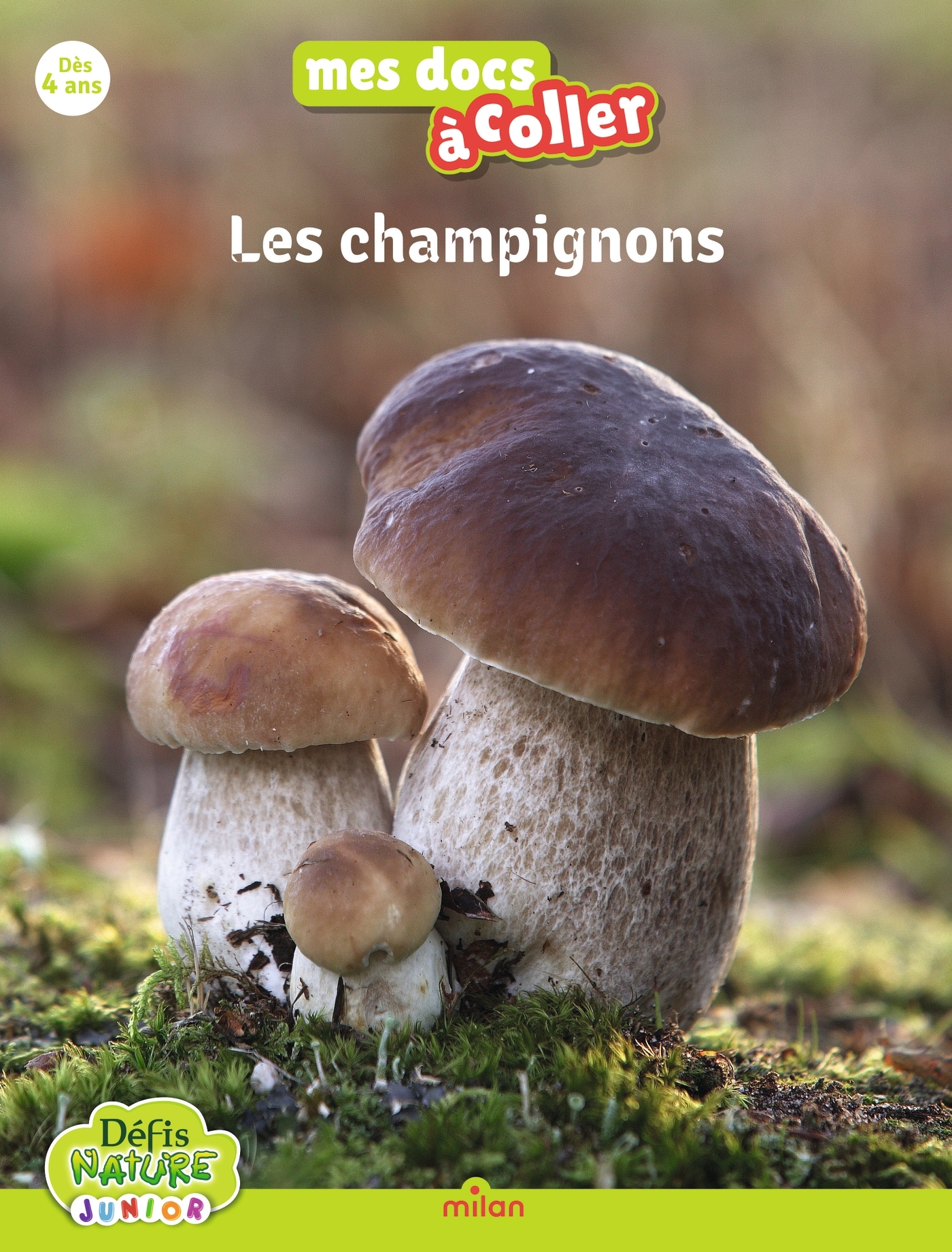 Bioviva - Les champignons