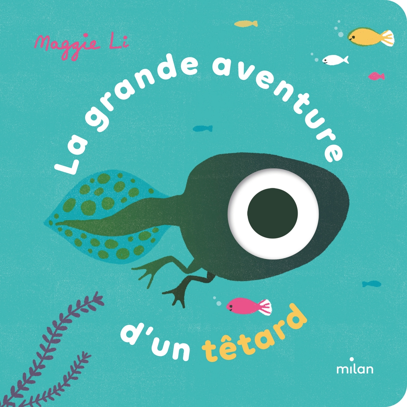 La grande aventure d'un têtard